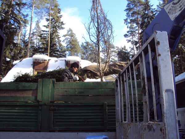 Никологорское